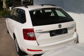 SKODA Octavia 1,6 TDI 4x4 Ambition Navi (Kombi):